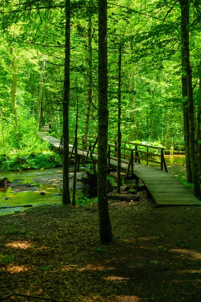 Un sendero de madera en el lago Biograd — Foto de Stock