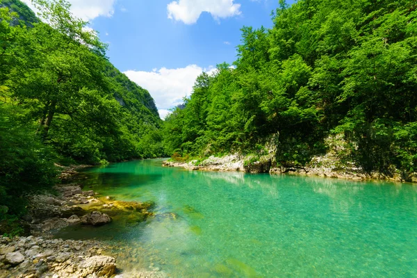 Tara nehir ve kanyon