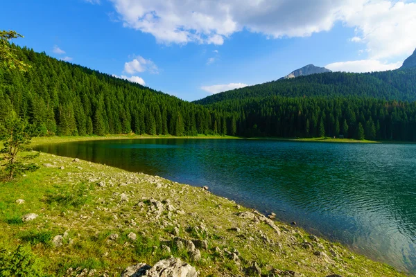 Jezioro Czarne, Durmitor — Zdjęcie stockowe