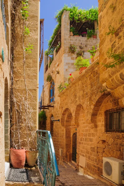 Old Jaffa — Stock Photo, Image