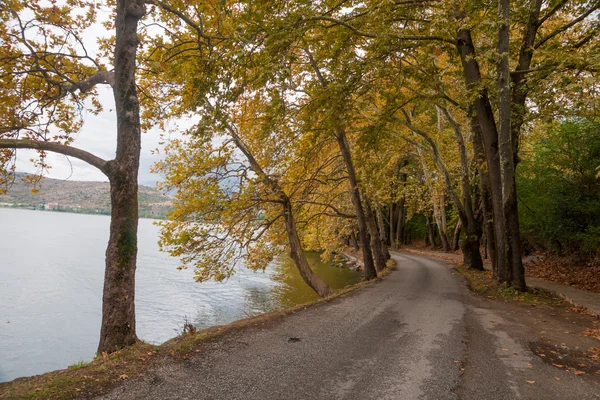 Kastoria, Grèce — Photo