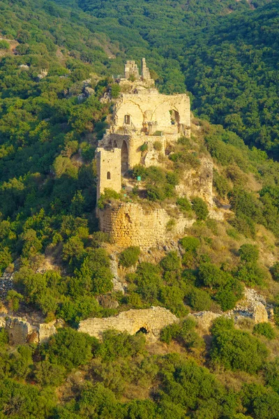 Château de Montfort — Photo