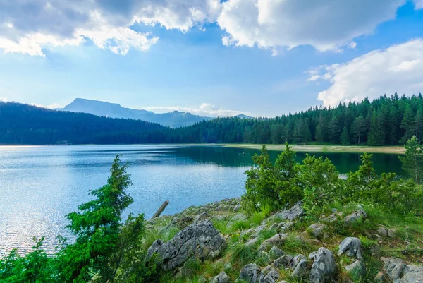 Kara Göl, Durmitor — Stok fotoğraf