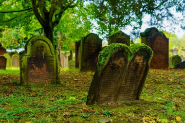 Solucanlar, Almanya - 09 Ekim 2024: Solucanlar, Rhineland-Palatinate, Almanya 'da Yahudi Mezarlığı Kutsal Kum manzarası