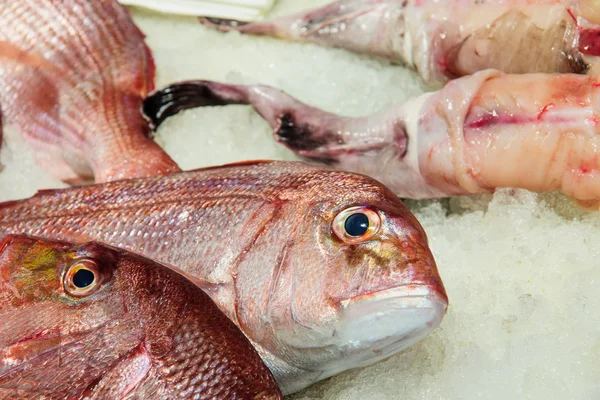 Mercado de pescado, Venecia —  Fotos de Stock