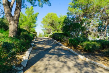 Horshat Hameyasdim (kurucuları Grove)