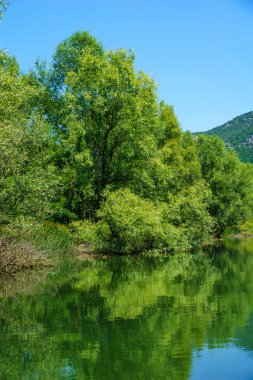 Rijeka Crnojevica, İşkodra Gölü