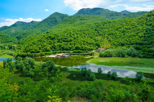 Rijeka Crnojevica, Skadar-tó — Stock Fotó