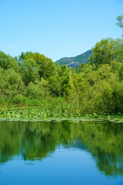 Rijeka Crnojevica, Skadarské jezero — Stock fotografie