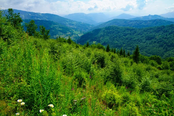 Passo de montanha tresnjevik — Fotografia de Stock