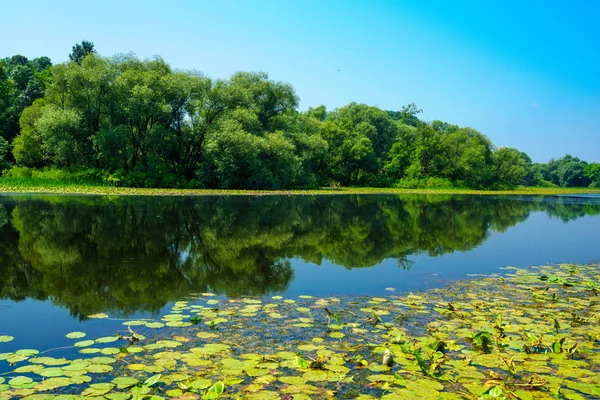 Fiume Sava, Croazia — Foto Stock