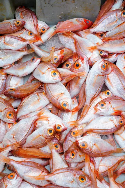 Pescado en venta en el mercado —  Fotos de Stock