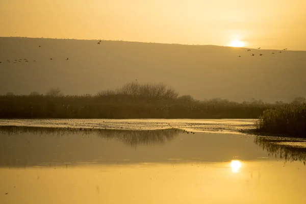 Nascer do sol em Agamon Hula refúgio pássaro — Fotografia de Stock