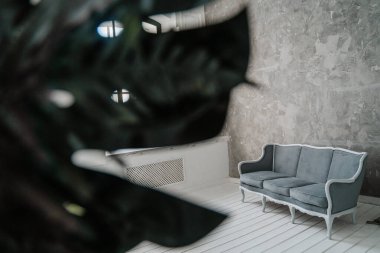 Evin iç tarafındaki gri kanepe..