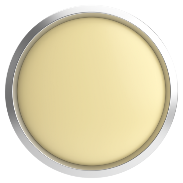 Üç boyutlu daire düğmesi. Boş tuş. 3B illüstrasyon.