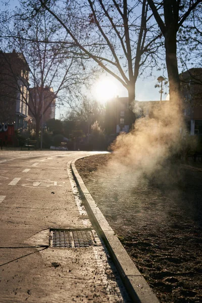 Гвадалахара Испания Января 2021 Года Дым Выходит Канализации Парке Гвадалахаре Стоковое Изображение
