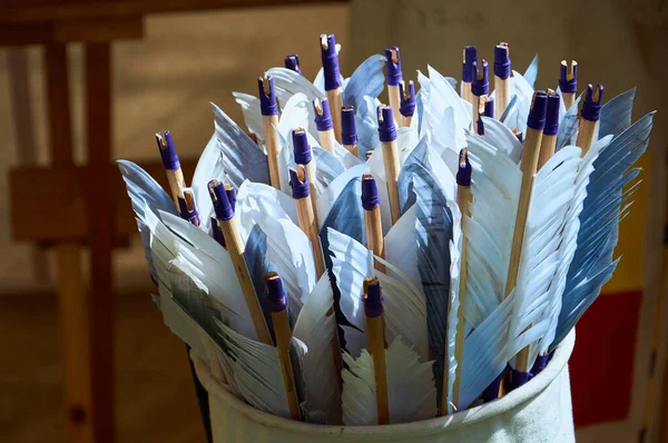 Birçok mavi tüylü ok bir kılıfın içinde sıkıca gruplanmış.