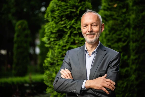 Smiling businessman in a gray suit on the background of a hedge.