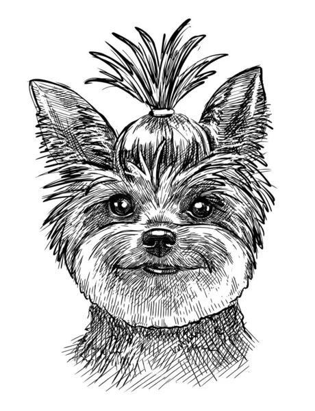 Portrait d'un petit chien, un chiot Yorkshire Terrier. Croquis à la main avec un stylo noir et blanc, illustration vectorielle. — Image vectorielle