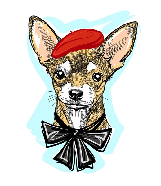 Cane creativo alla moda in un berretto rosso e con un fiocco sul collo. Illustrazione di uno schizzo disegnato con pennarelli. — Vettoriale Stock