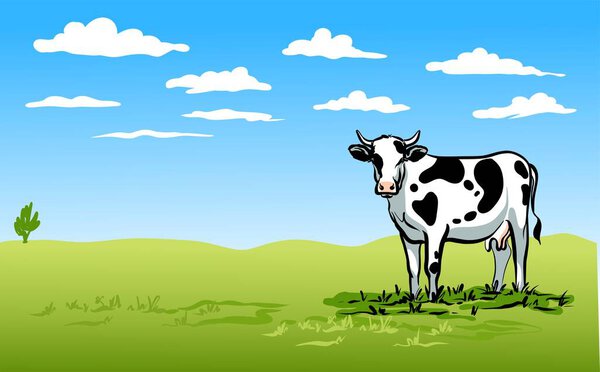 A black and white cow stands on a bright green lawn and looks at the viewer. Blue sky with clouds. Color illustration.