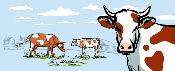 Krowy spacerują po trawniku w tle wsi. Chmury na niebie. Stylowa pozioma ilustracja w delikatnym kolorze niebieskim. — Wektor stockowy