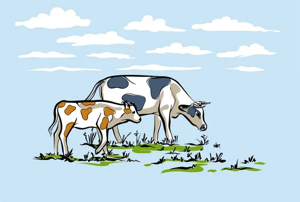 Krowa i cielę spacerujące po trawniku. Stylowa pozioma ilustracja w delikatnym kolorze niebieskim. — Wektor stockowy
