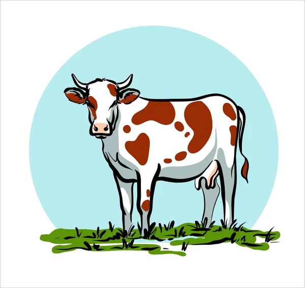 The cow stands tall. Composition in a circle. The emblem is colored. Illustration in vector. — Stock Vector