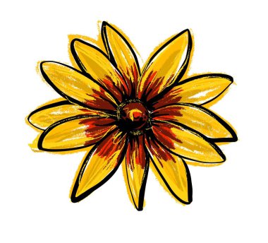 Siyah gözlü Susan Rudbeckia Hirta çiçeği. Bir serbest çizim tasviri.
