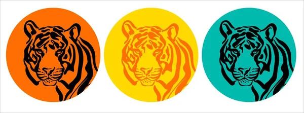 Un tigre qui nous regarde tranquillement en cercle. Un ensemble de logos ou d'emblèmes. — Image vectorielle