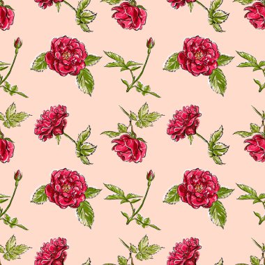 Kusursuz desen. Kırmızı çalı gülü. Hafif pastel çizim.