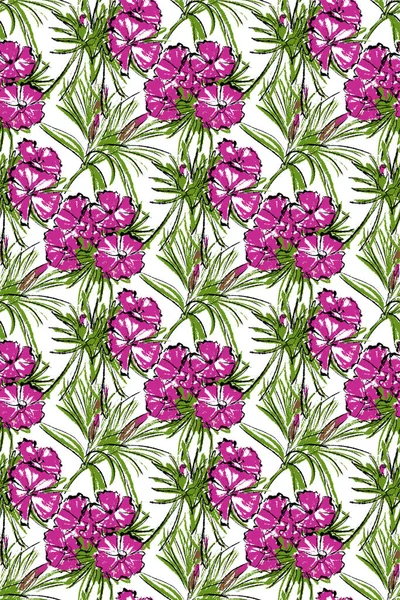 Seamless pattern. On a white background, pink and purple carnation flowers.