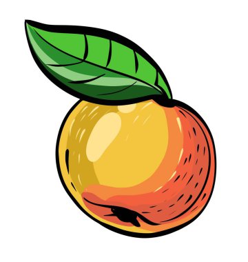 Bir elma, yapraklı, turuncu ve sarı, benekli. Çizim, doğrusal siyah çizgili el çizimi bir çizim.