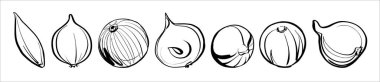Taze soğan seti, çeşitli çeşitlerde. Basit biçim, taslak simgeleri, siyah beyaz.