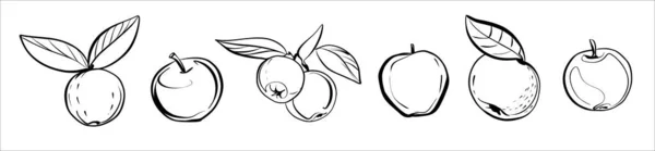 Set of apples icons. Black and white sketch. — 图库矢量图片