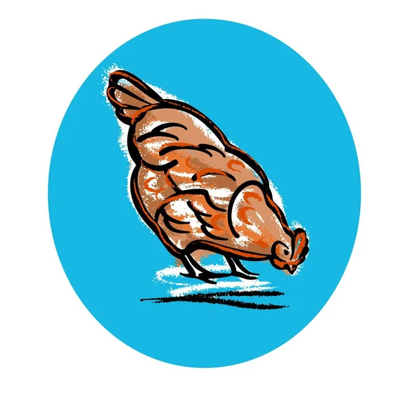 Uma galinha vermelha jovem pica o grão. Ilustração a cores do logotipo em um círculo azul brilhante. Desenho esboço em pastel. — Vetor de Stock