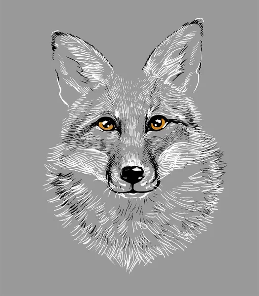 La tête d'un loup renard. Illustration un dessin dessiné à la main, comme un emblème ou un logo. — Image vectorielle