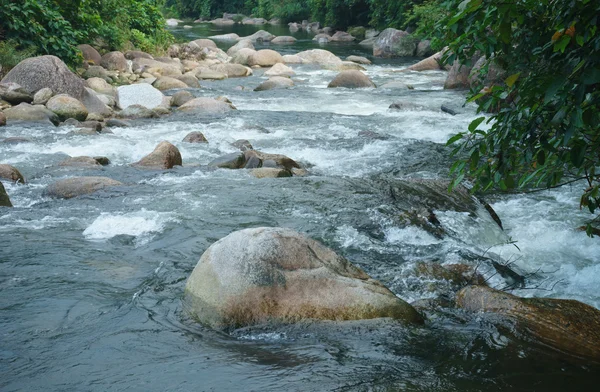 Stone and water of small brook, Nakornsritammarat Province Asia