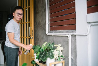 Orta yaşlı Asyalı bir adamın portresi, yeşil bitkileri balkondaki eve saf suyla spreyliyor ve kameraya bakıyor. Ev bitkileriyle ilgilenen olgun bir adam. Ev bahçesi, ekme konsepti. Ev hobileri..