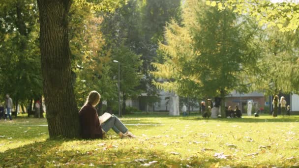 Mujer joven leyendo un libro en el parque — Vídeos de Stock