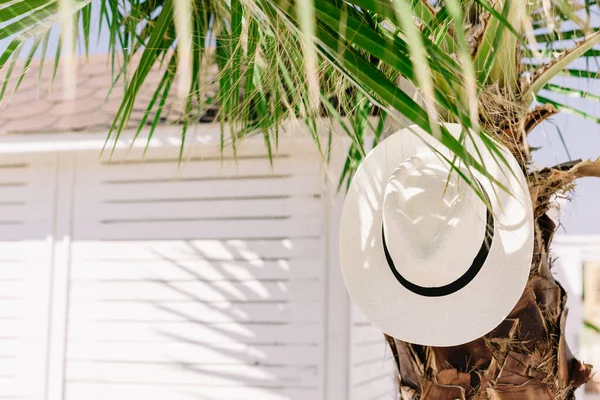 ヤシの木のハバナ帽子 リゾートでの夏の気分 熱帯の島 海による休暇 スペースのコピー — ストック写真
