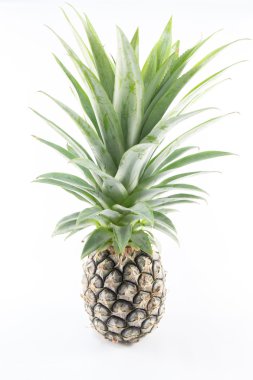 izole ananas
