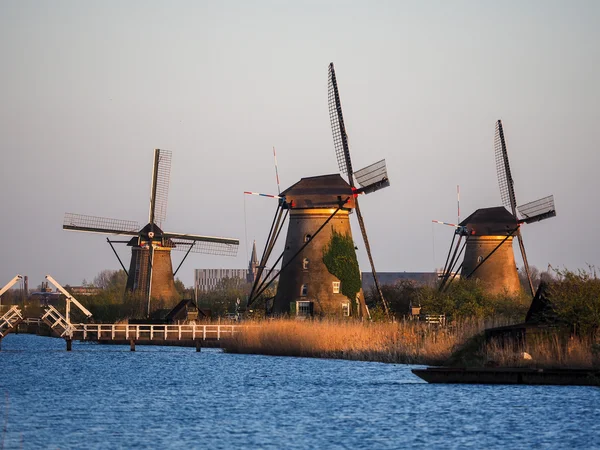 Canal Kinderdijk con molinos de viento —  Fotos de Stock