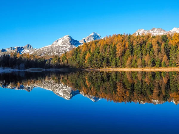 Reflexionen über den See lej da staz — Stockfoto