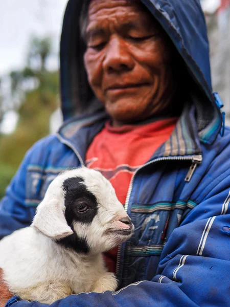 Hirte mit Schafbaby. — Stockfoto