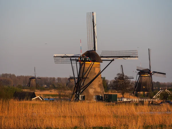 Canal Kinderdijk con molinos de viento —  Fotos de Stock