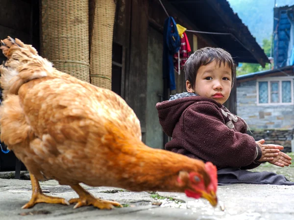Nepal çocuk ve tavuk Ghandruk içinde — Stok fotoğraf