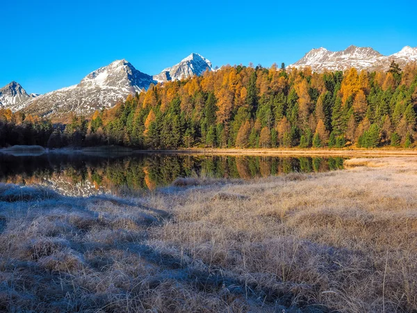 Reflections on lake Lej da Staz — Stock Photo, Image