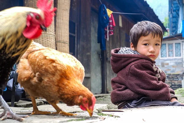 Nepal çocuk ve tavuk — Stok fotoğraf
