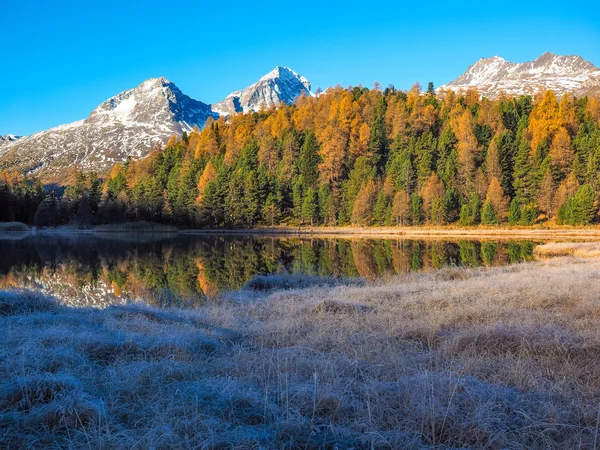 Reflexiones sobre el lago Lej da Staz — Foto de Stock